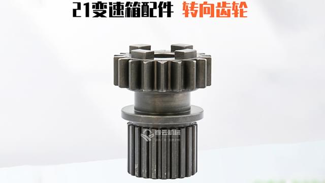 21变速箱转向齿轮