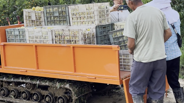 桃园必备伙伴：拉桃子的履带运输车