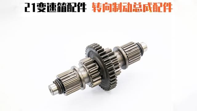 21变速箱转向制动总成配件