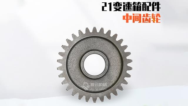 21变速箱中间齿轮